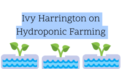 hydroponic-farming