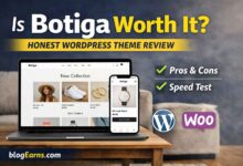 Botiga WordPress Theme Review
