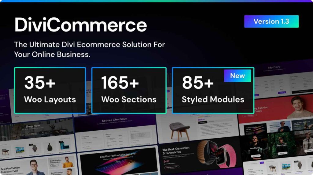 Divi eCommerce WordPress Theme