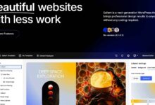 WordPress theme salient review