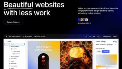 WordPress theme salient review