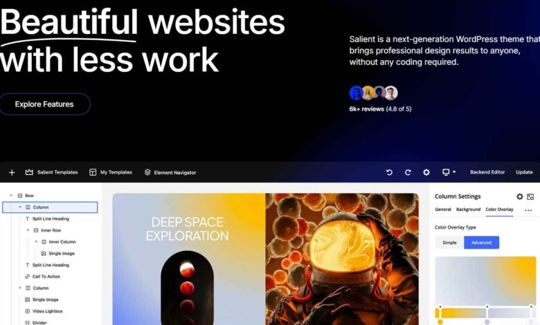 WordPress theme salient review
