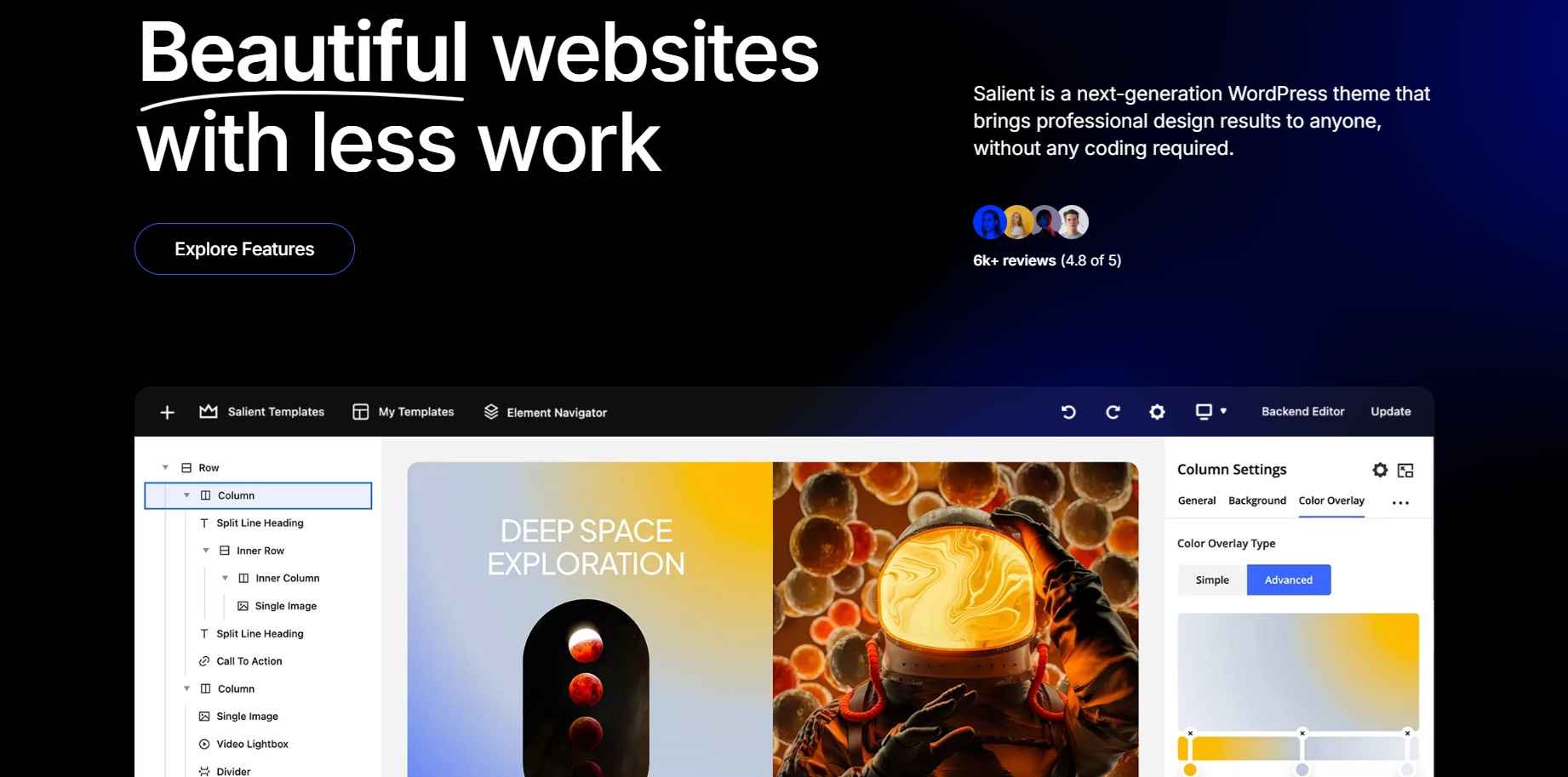 WordPress theme salient review
